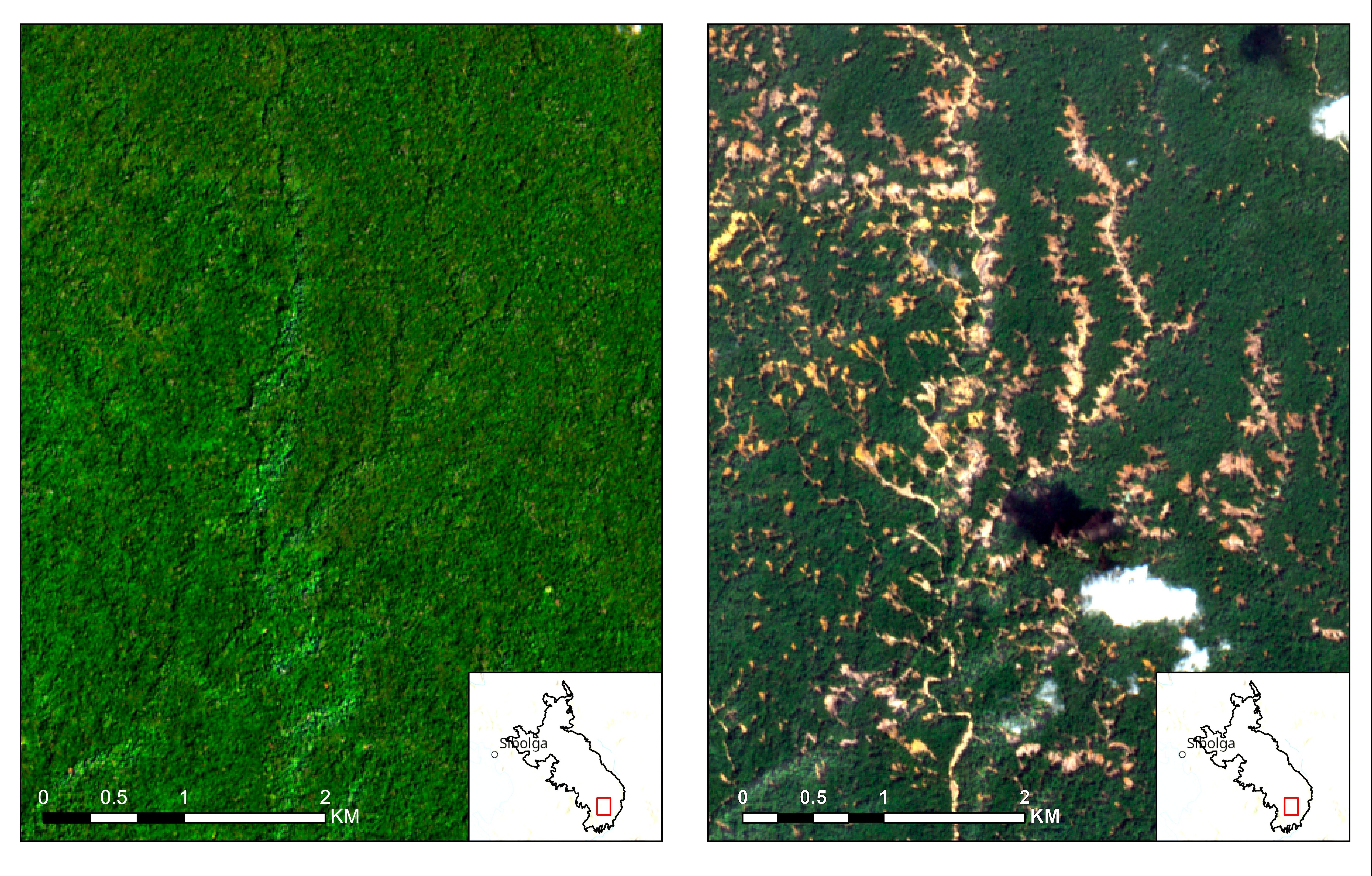 Satellite imagery before and after Cyclone Senyar showing extensive landslide scars in the Batang Toru forest