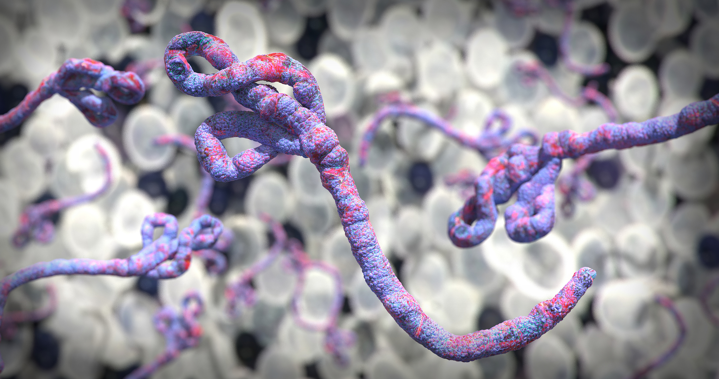 Ebola
