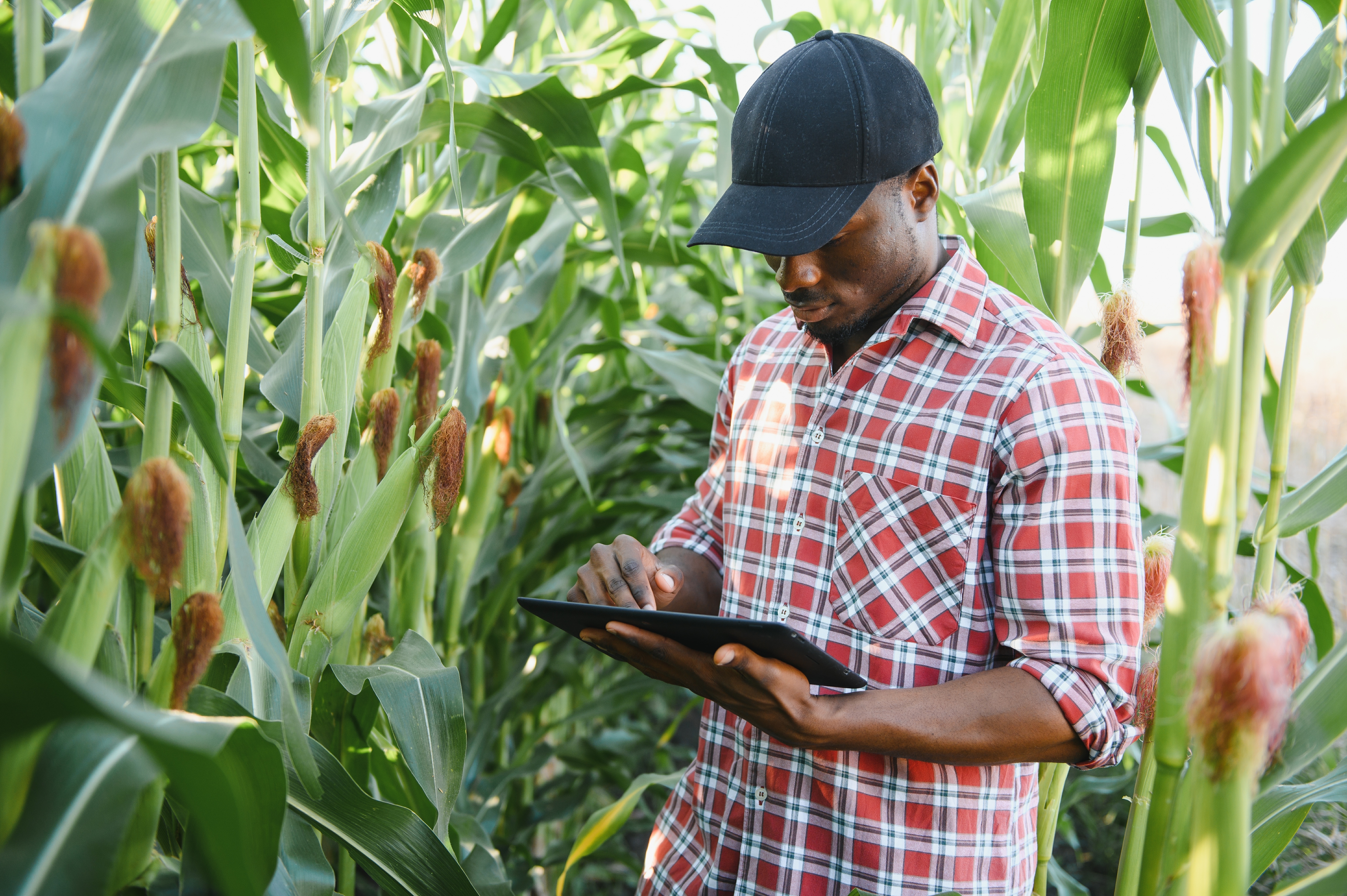 Farmer with tablet in Africa