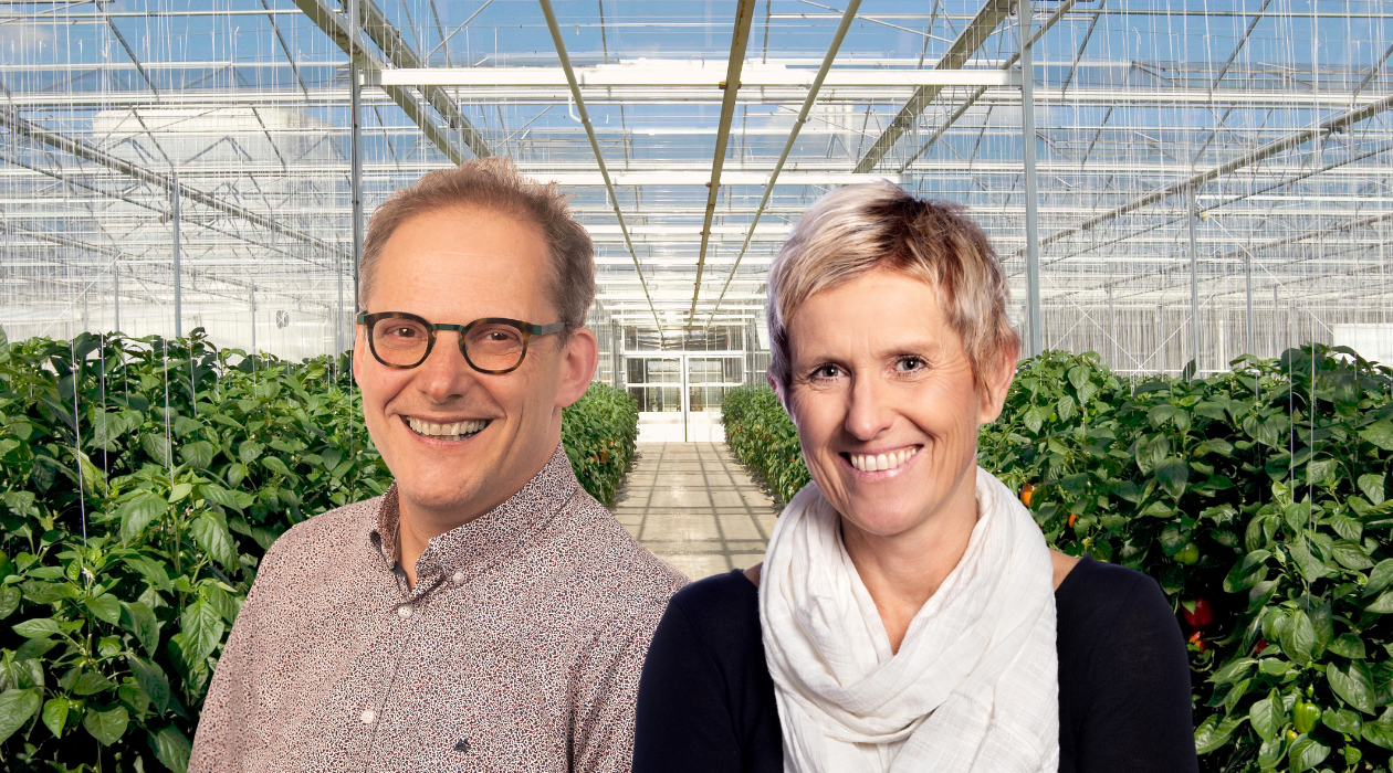 summer school greenhouse horticulture leo marcelis & silke hemming