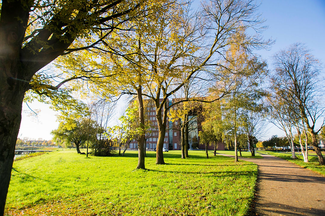 Een pad met bomen richting campus gebouw Forum