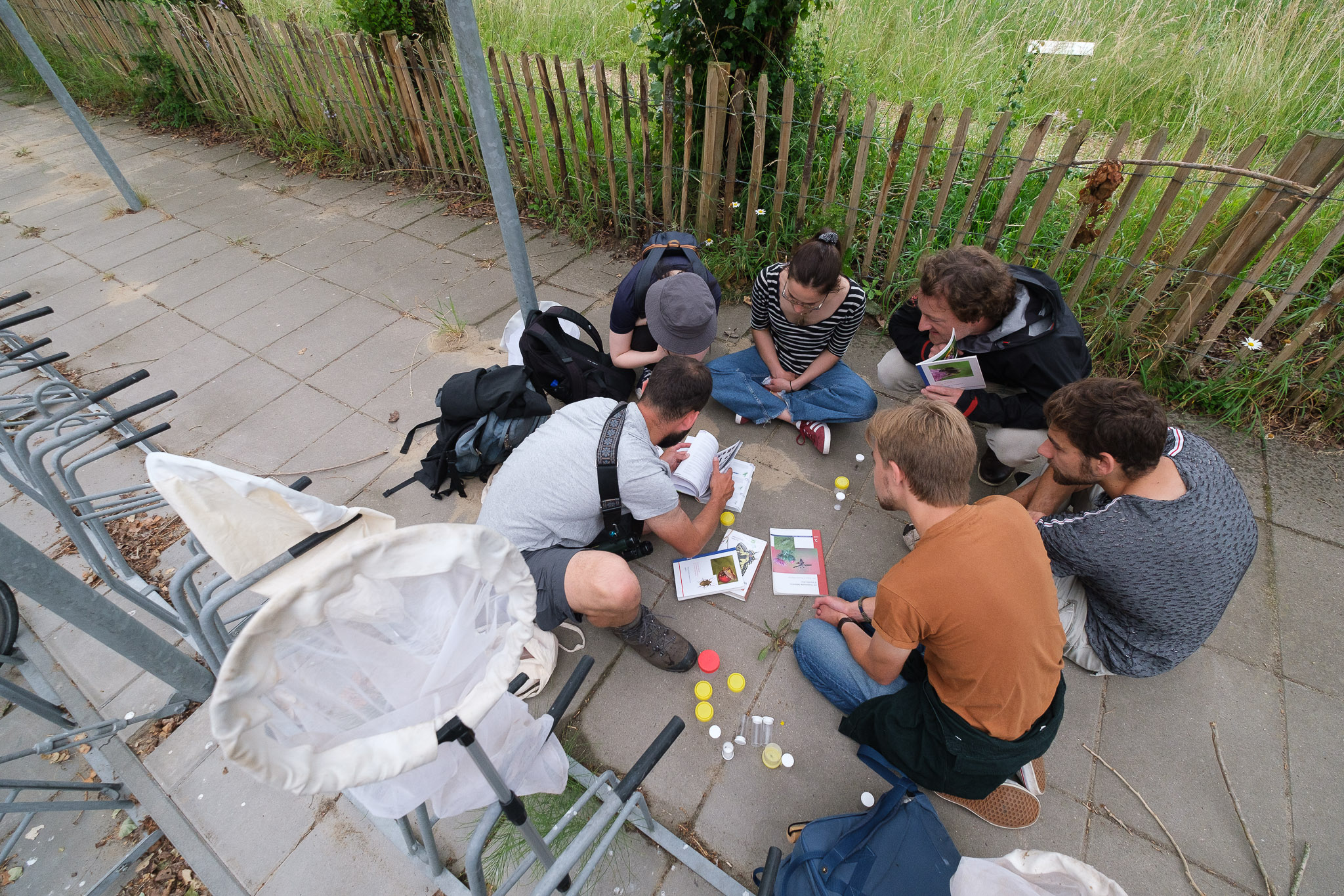 Inventariseren van aanwezige soorten op de campus van Wageningen University & Research in het kader van de landelijke Biodiversity Challenge