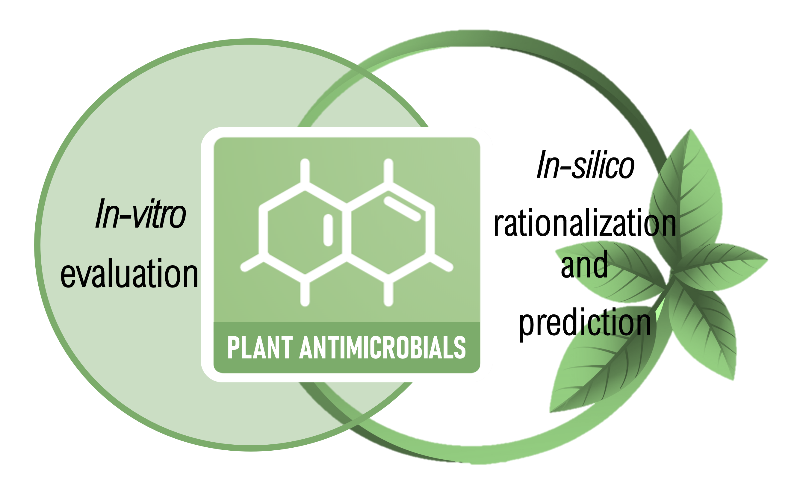 Plant antimicrobials