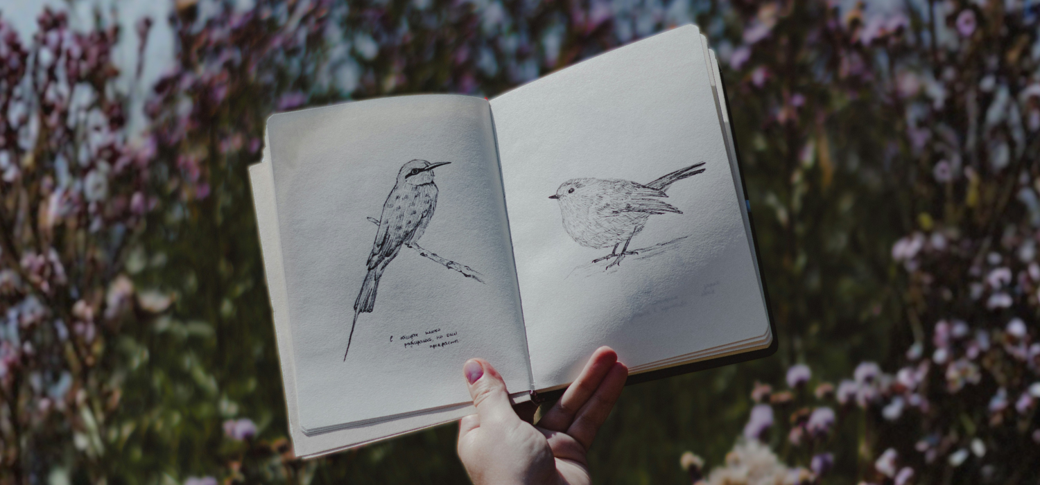 nascholing docent kunst tekenen vogels