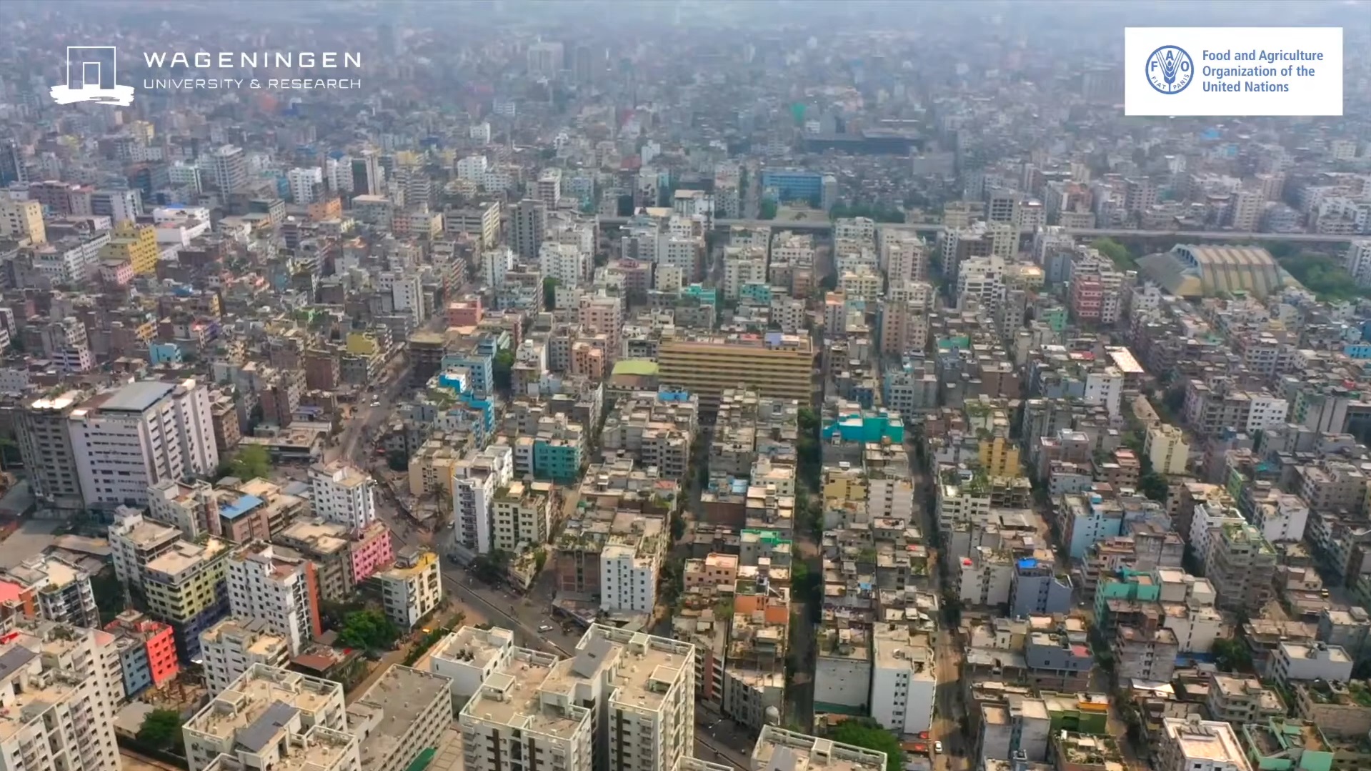 Dhaka's Food System in 2041