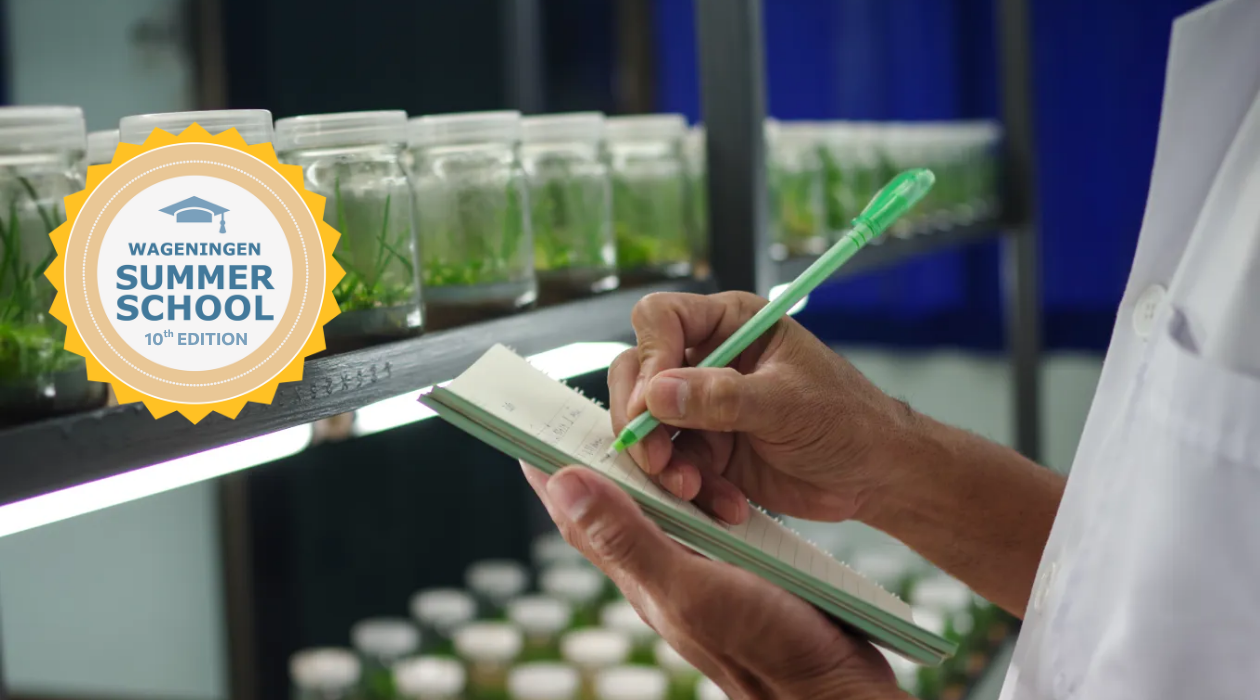 plant wetenschapper onderzoeker