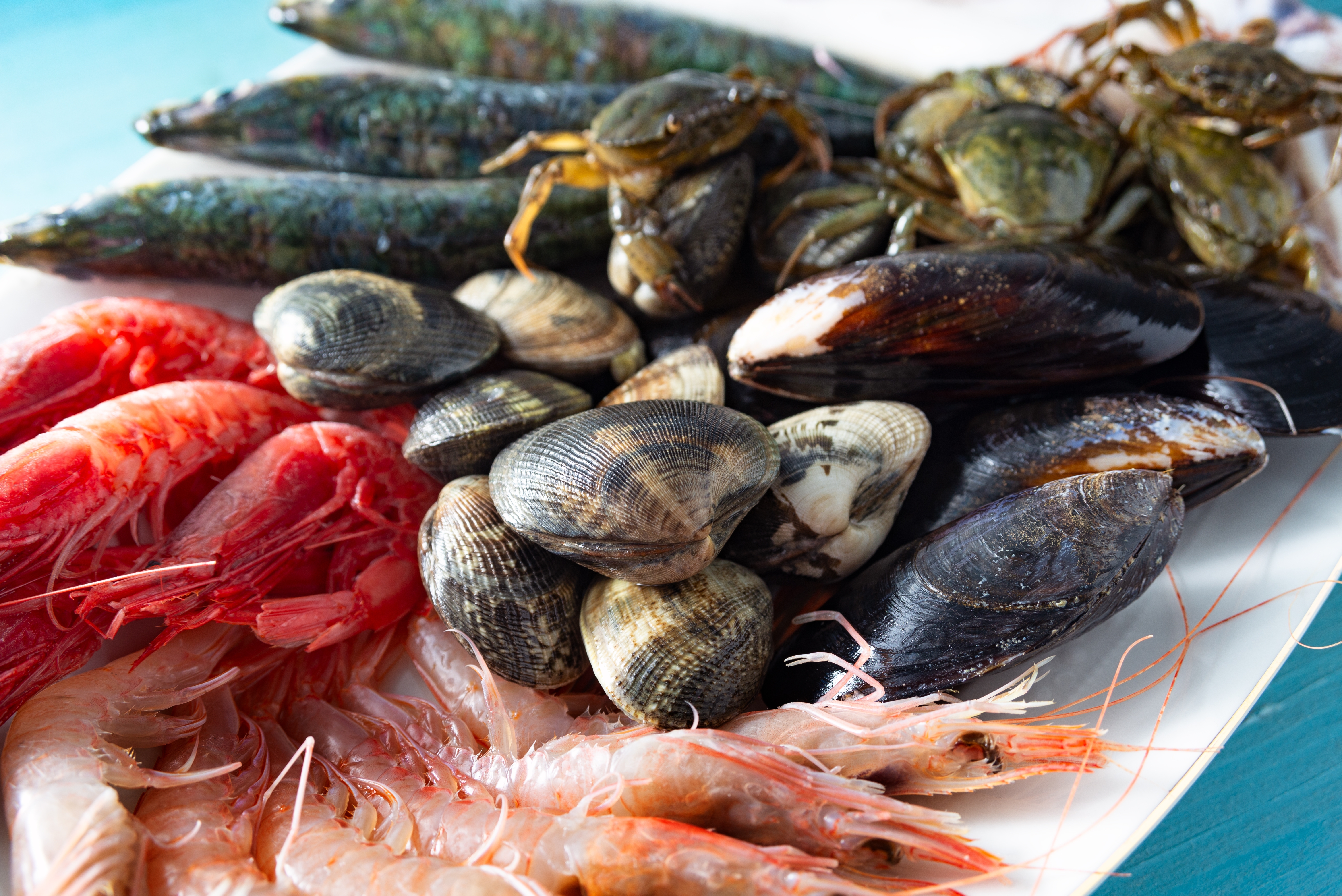 Shellfish and shrimp
