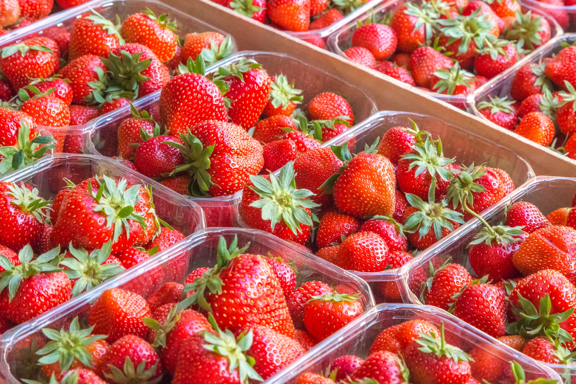 verse aardbeien in plastic doosje