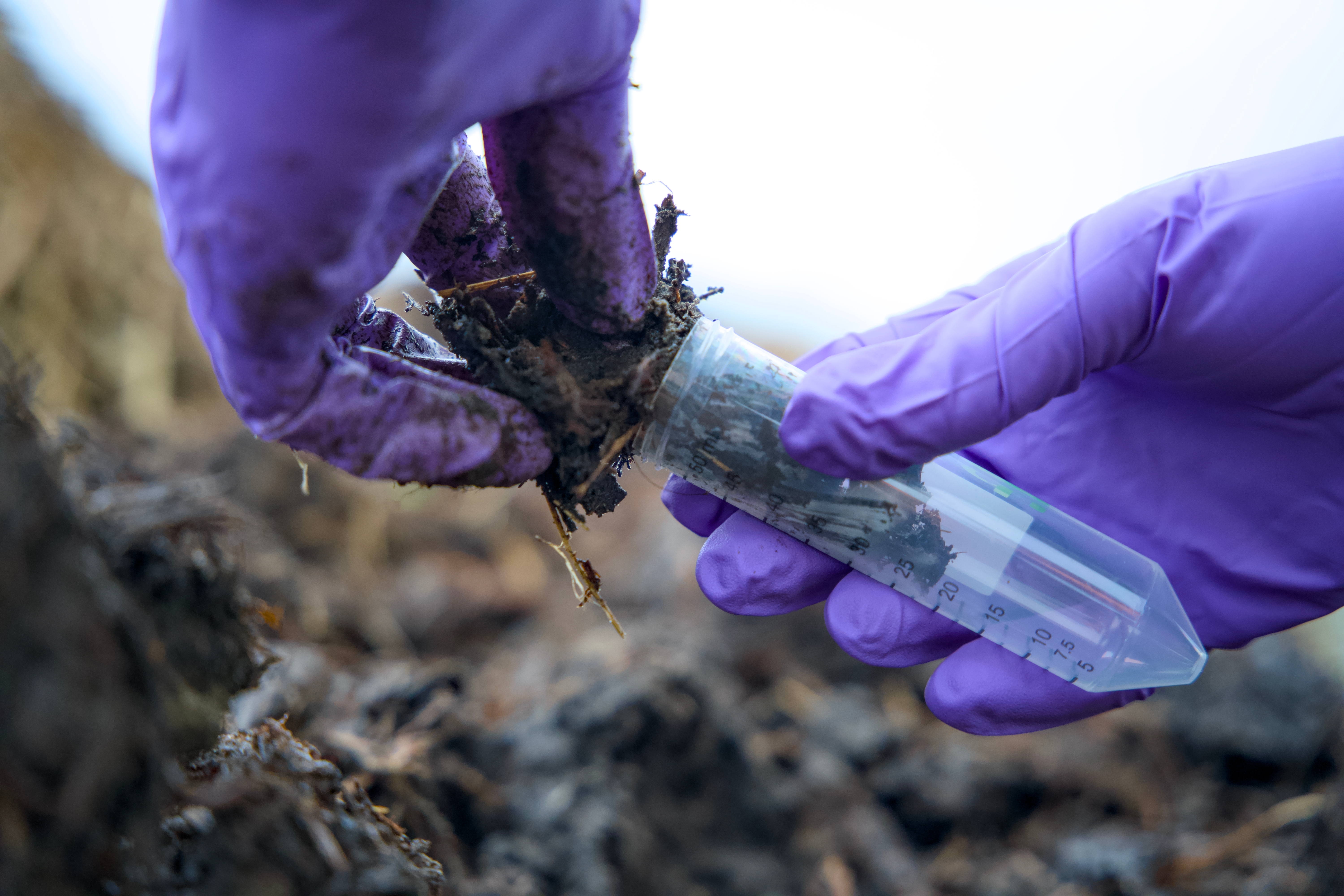 Manure in a test tube