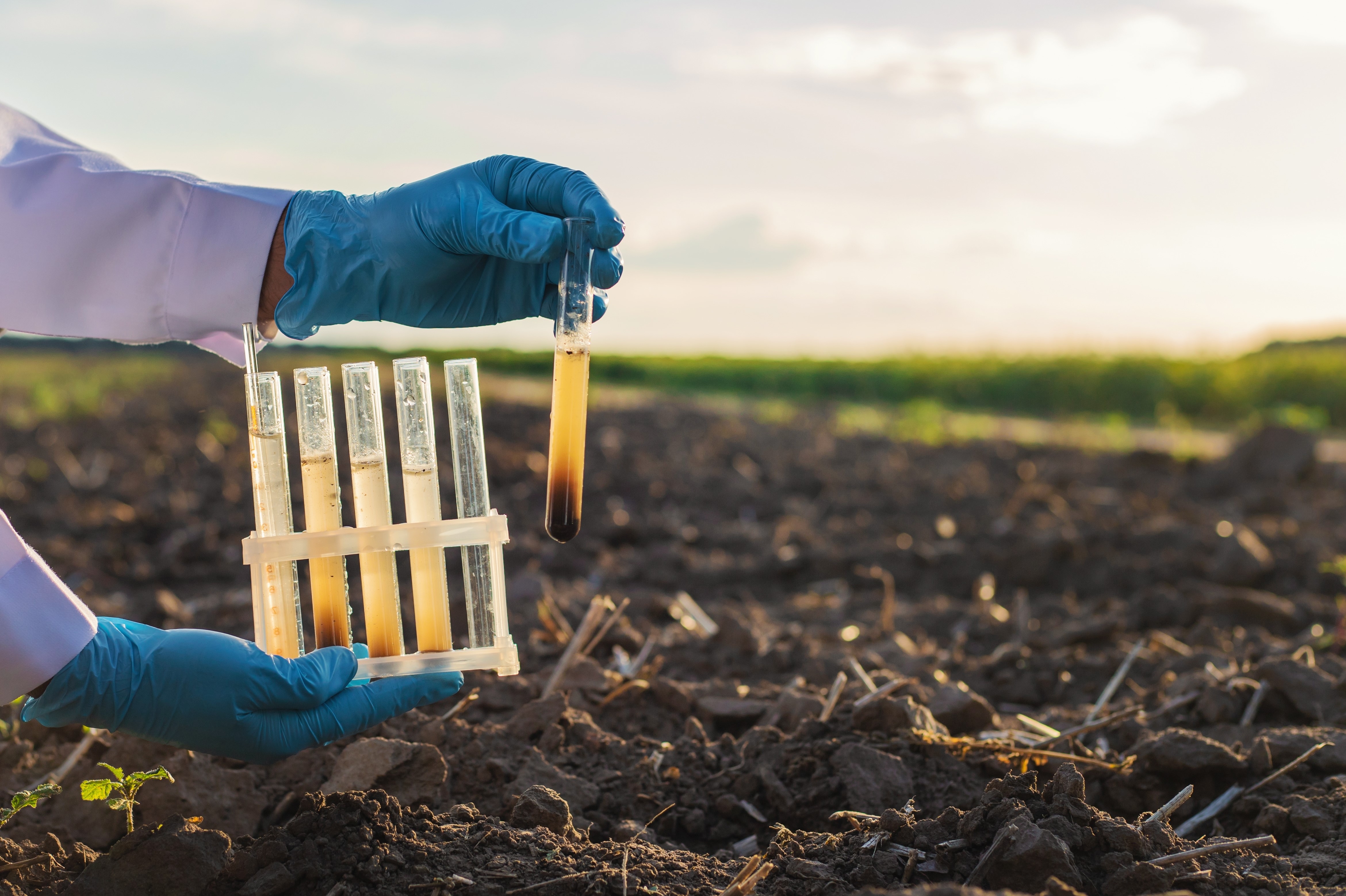 testtube with soil