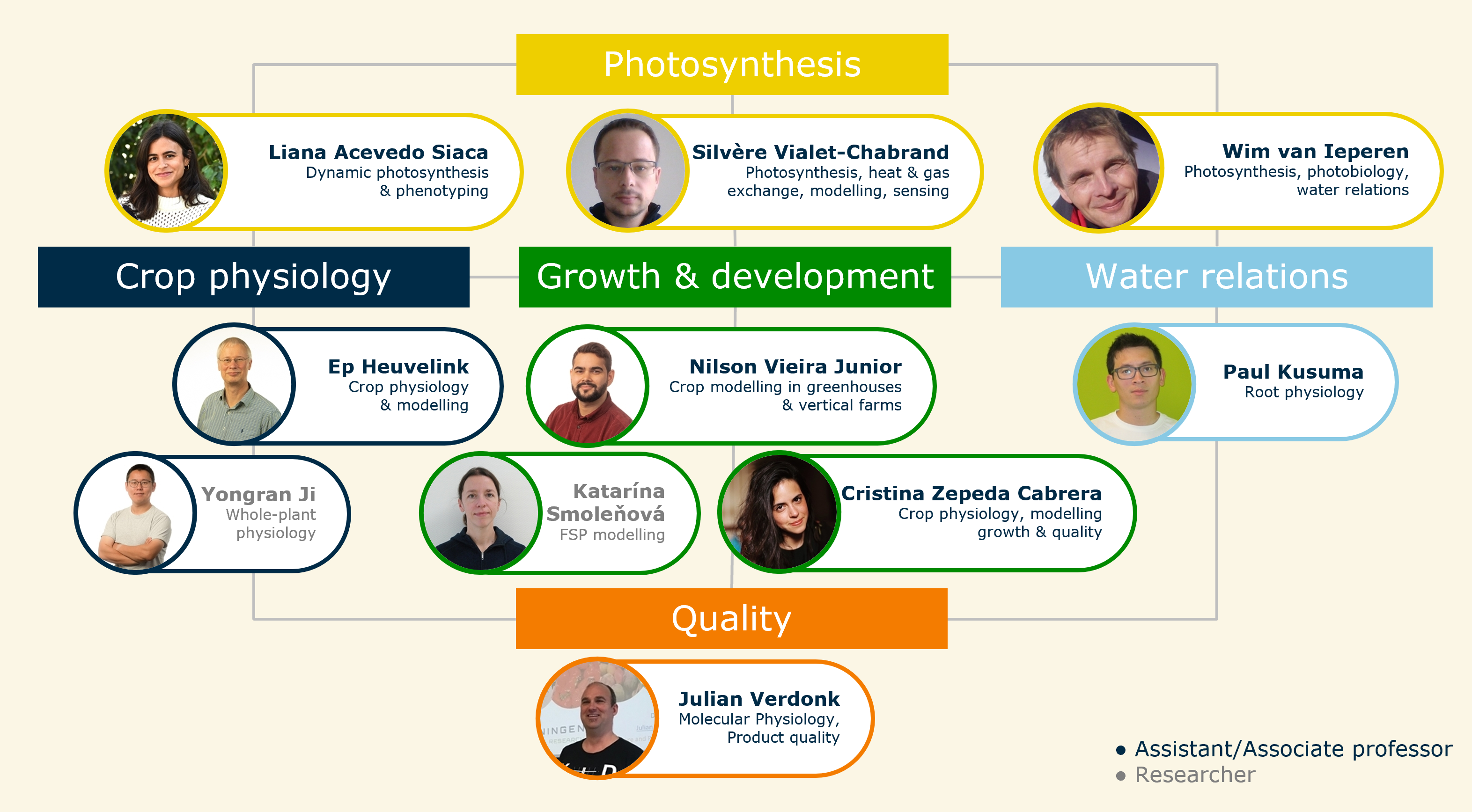 schematic view of research fields within HPP