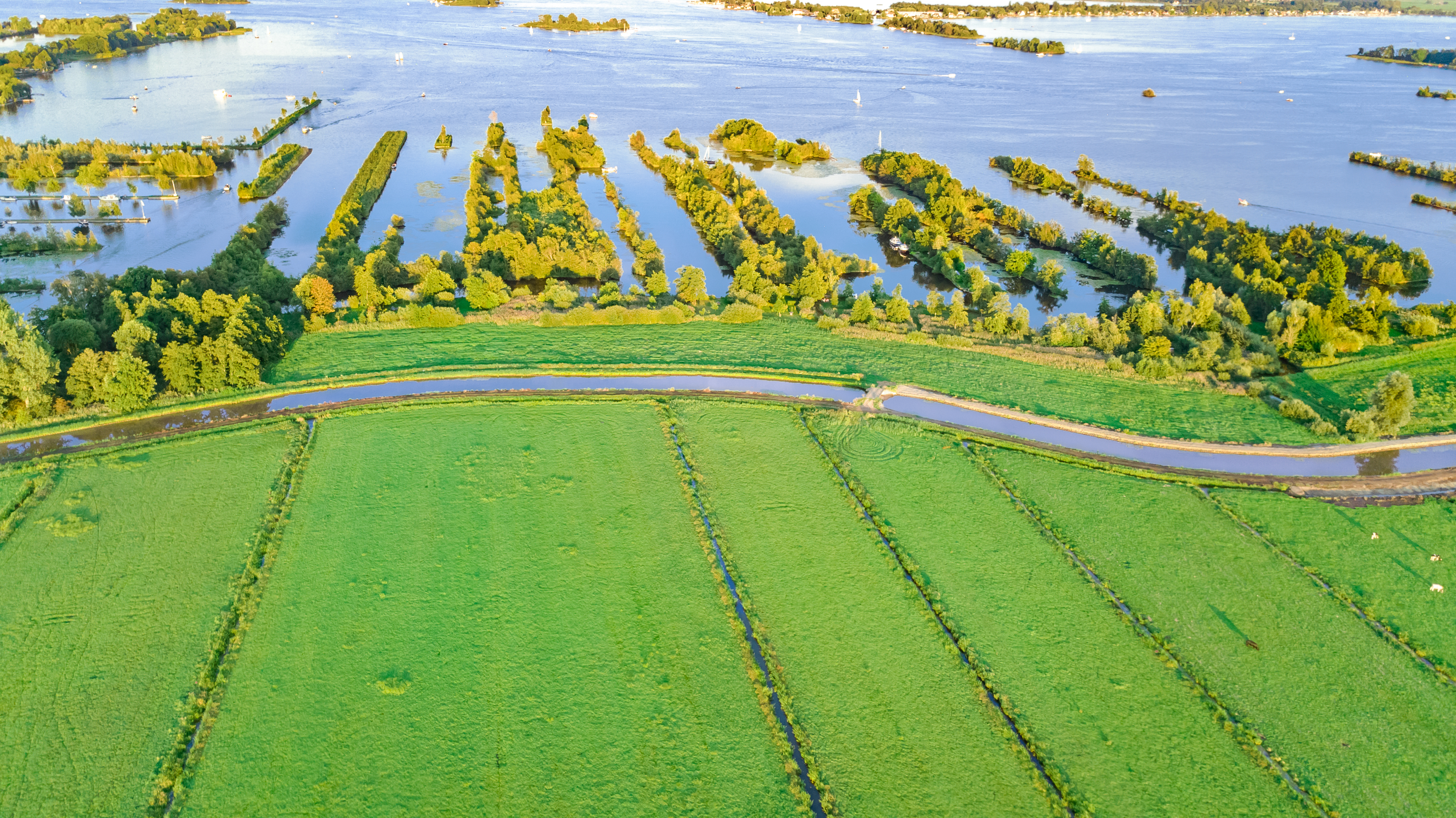 Aerial drone view of typical Dutch landscape with canals, polder water, green fields and farm houses from above, Holland, Netherlands