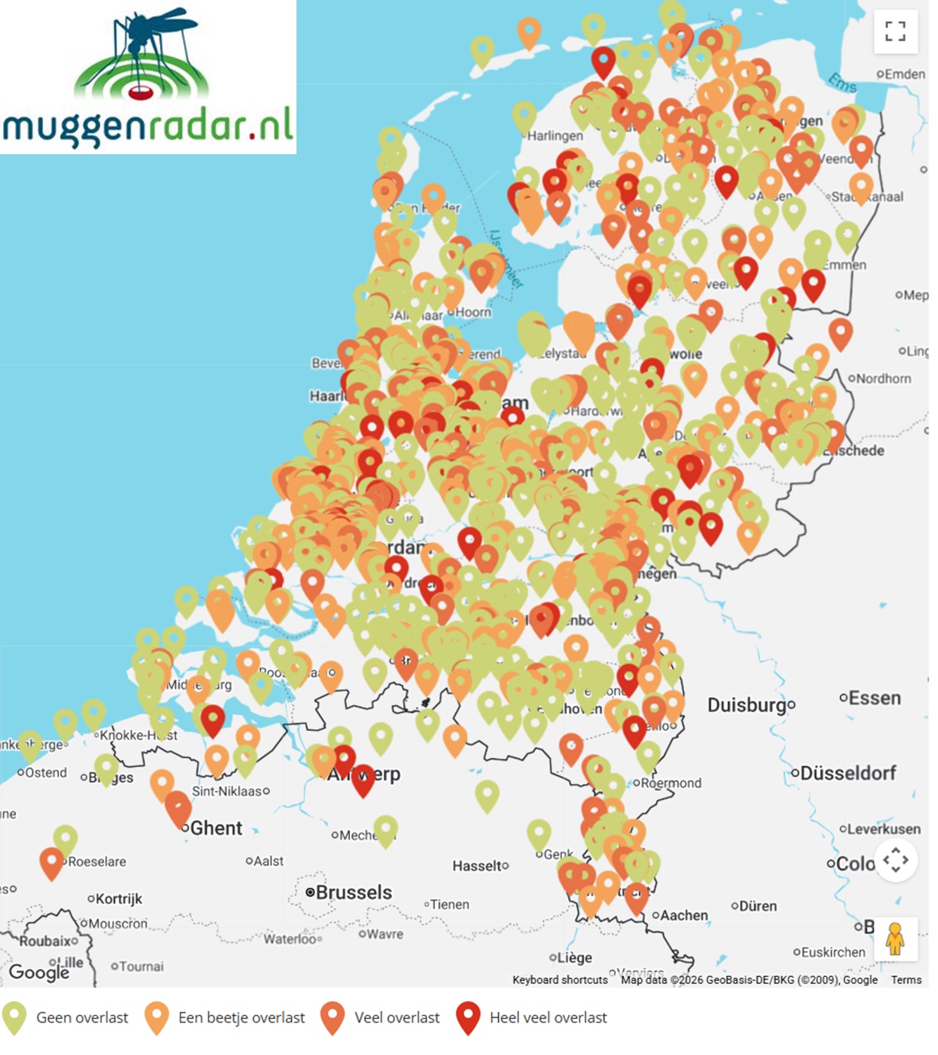 Kaart met alle meldingen van de mate van muggenoverlast die in 2026 via Muggenradar.nl tot 12 september zijn doorgegeven
