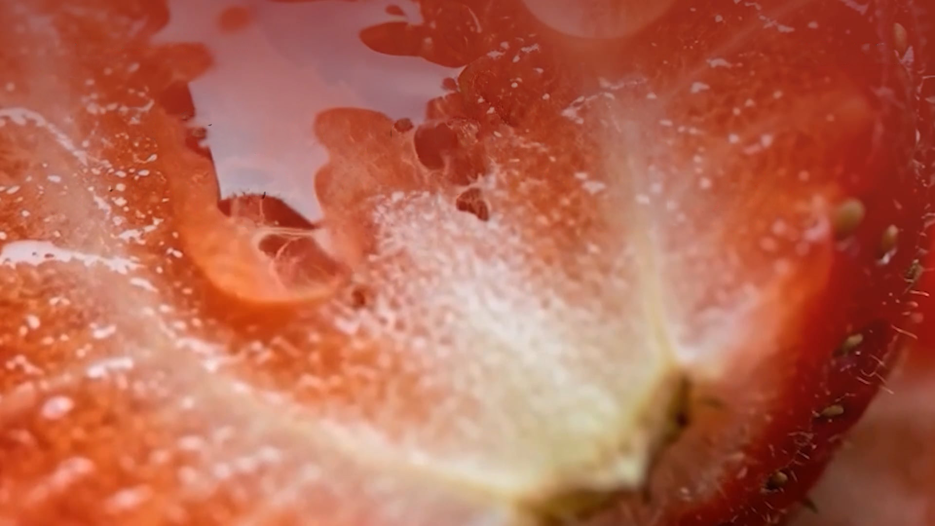 Video campagne Full of Life