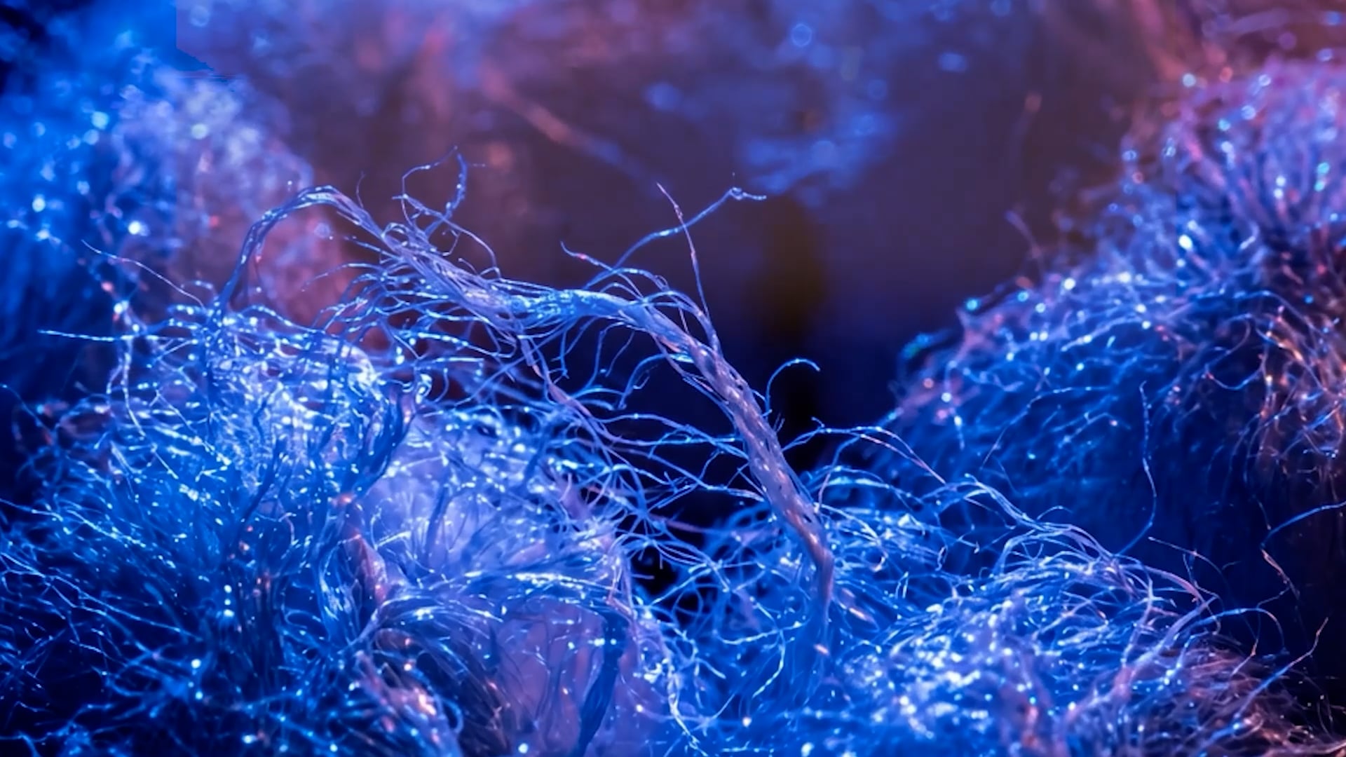 Video campagne Full of Life