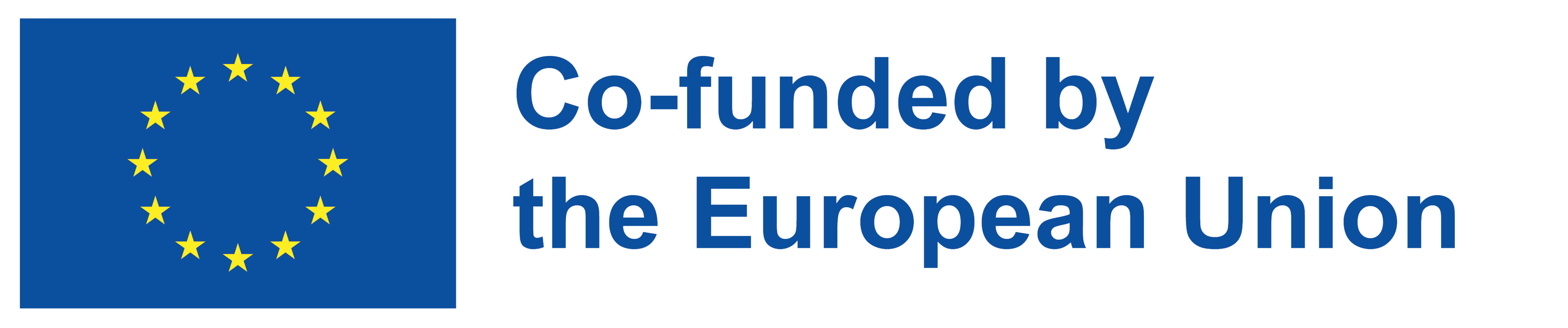 Co-funded by the European Union