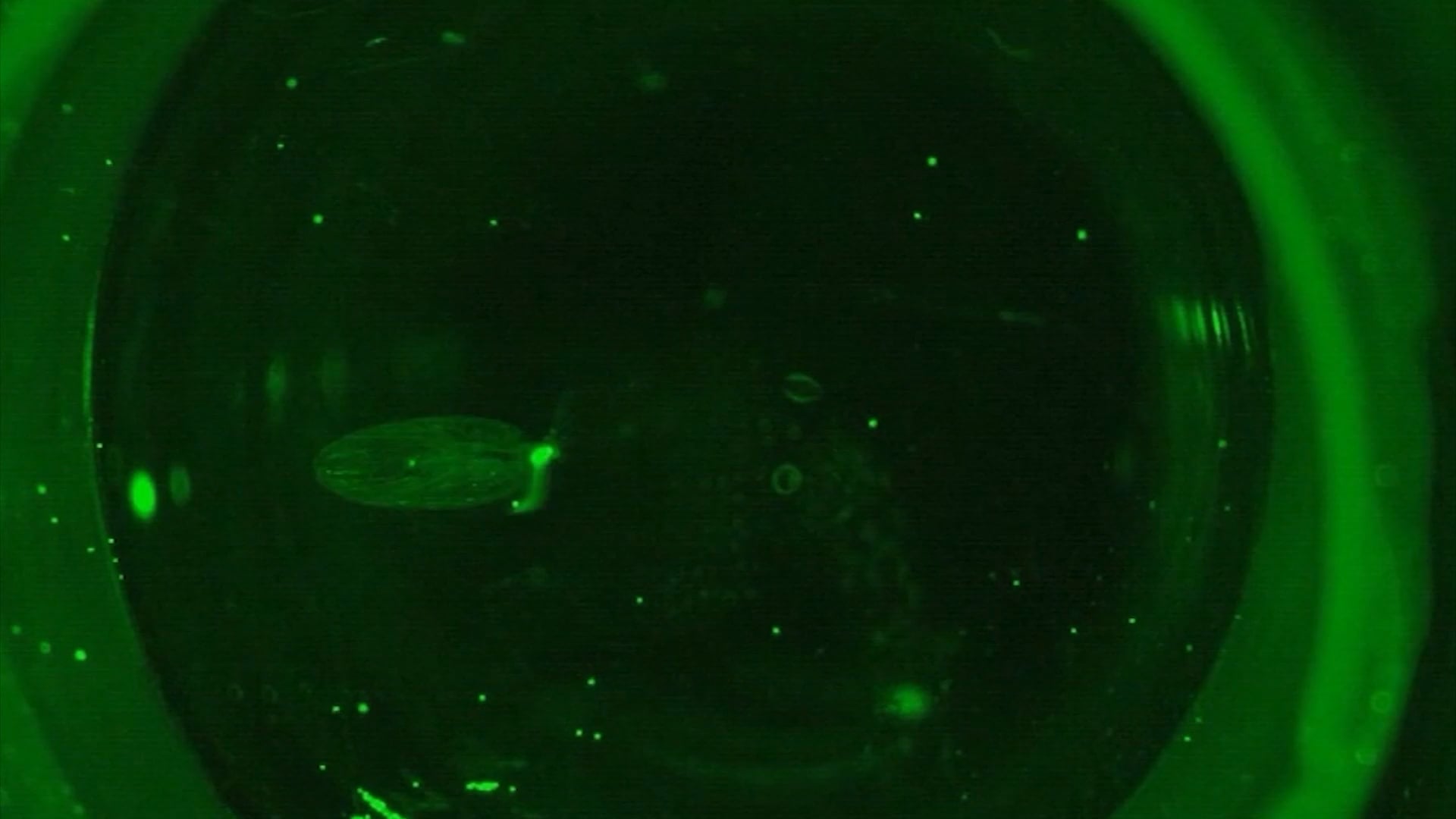 Moodvideo iGEM