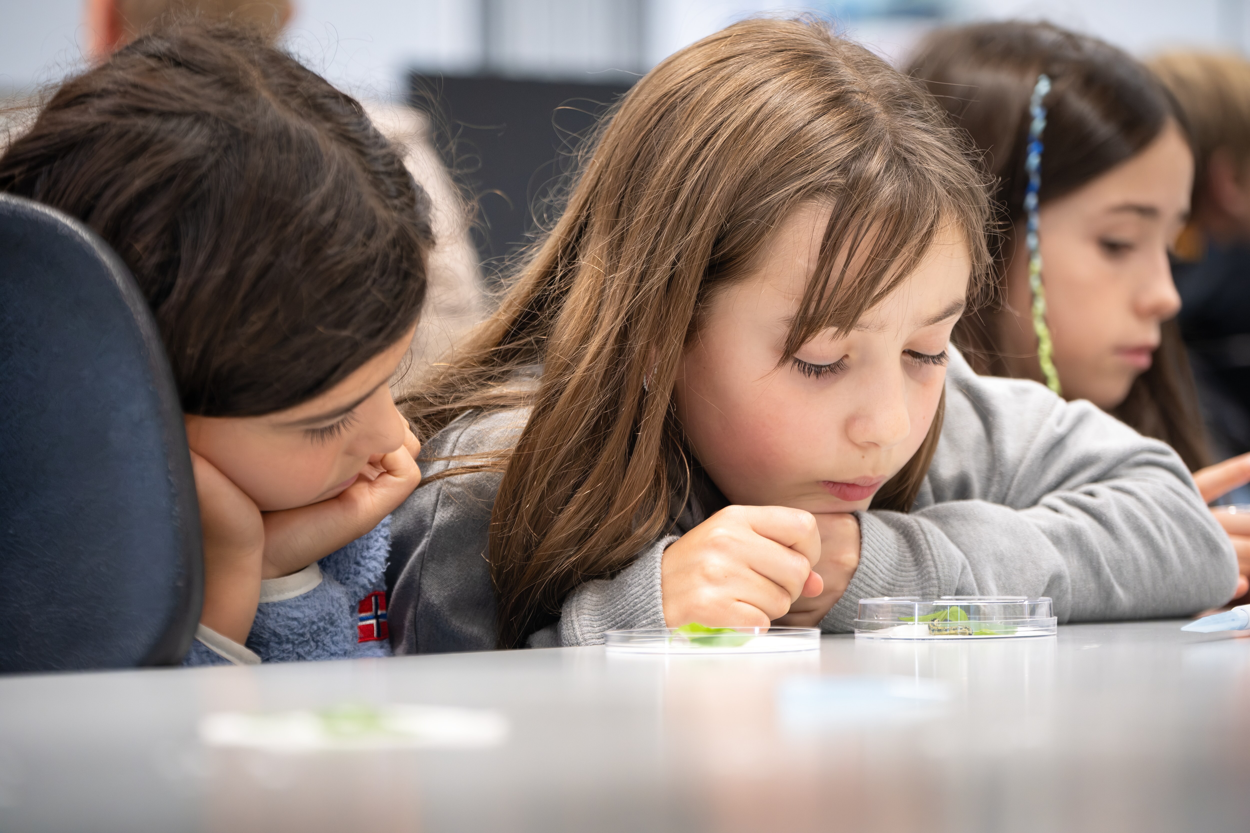 Rupsen kinderuniversiteit