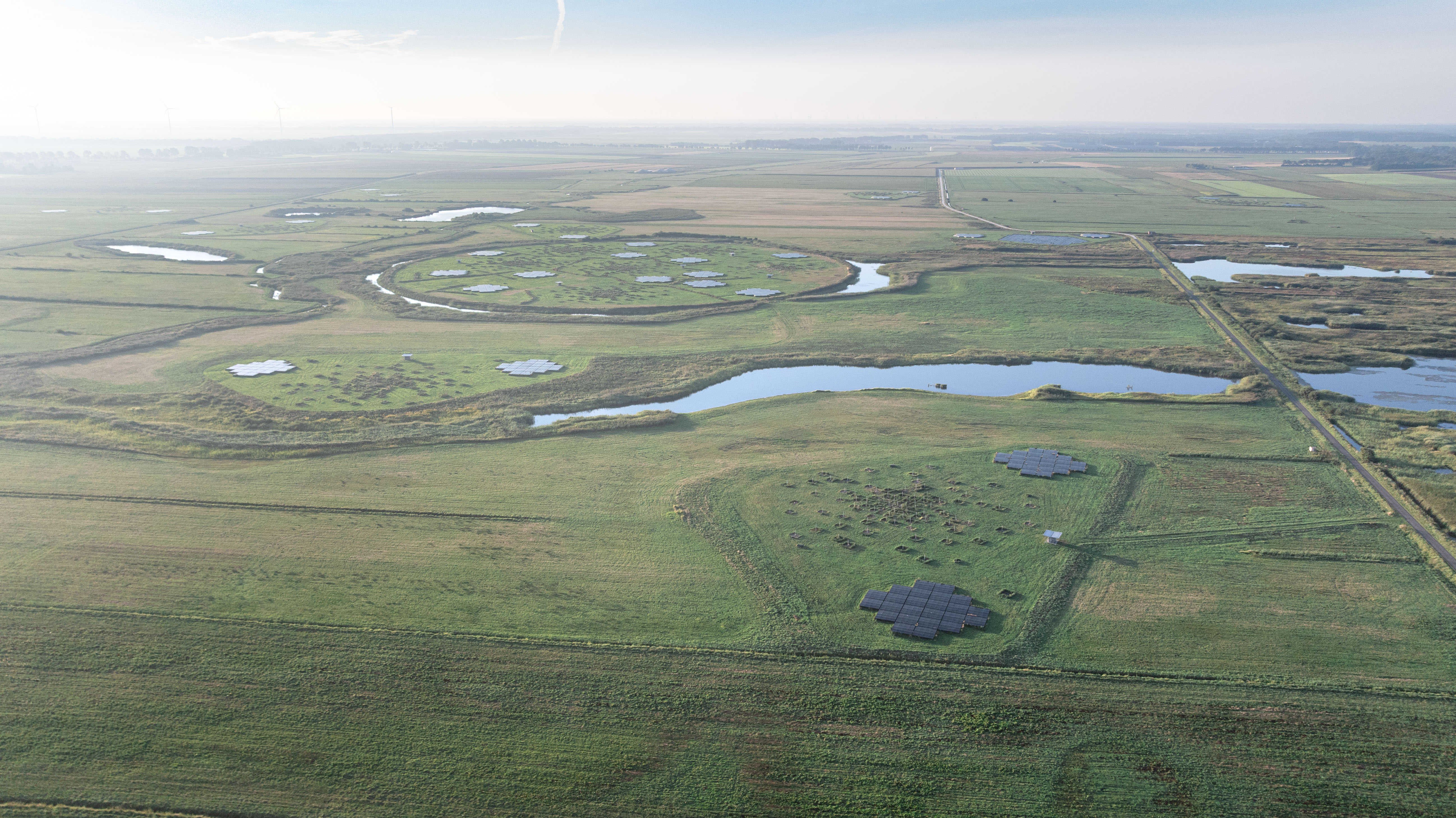 Project Paardetangen Achterste Diep tussen Buinen en Buinerveen @Marco van de Burgwal, Staatsbosbeheer
