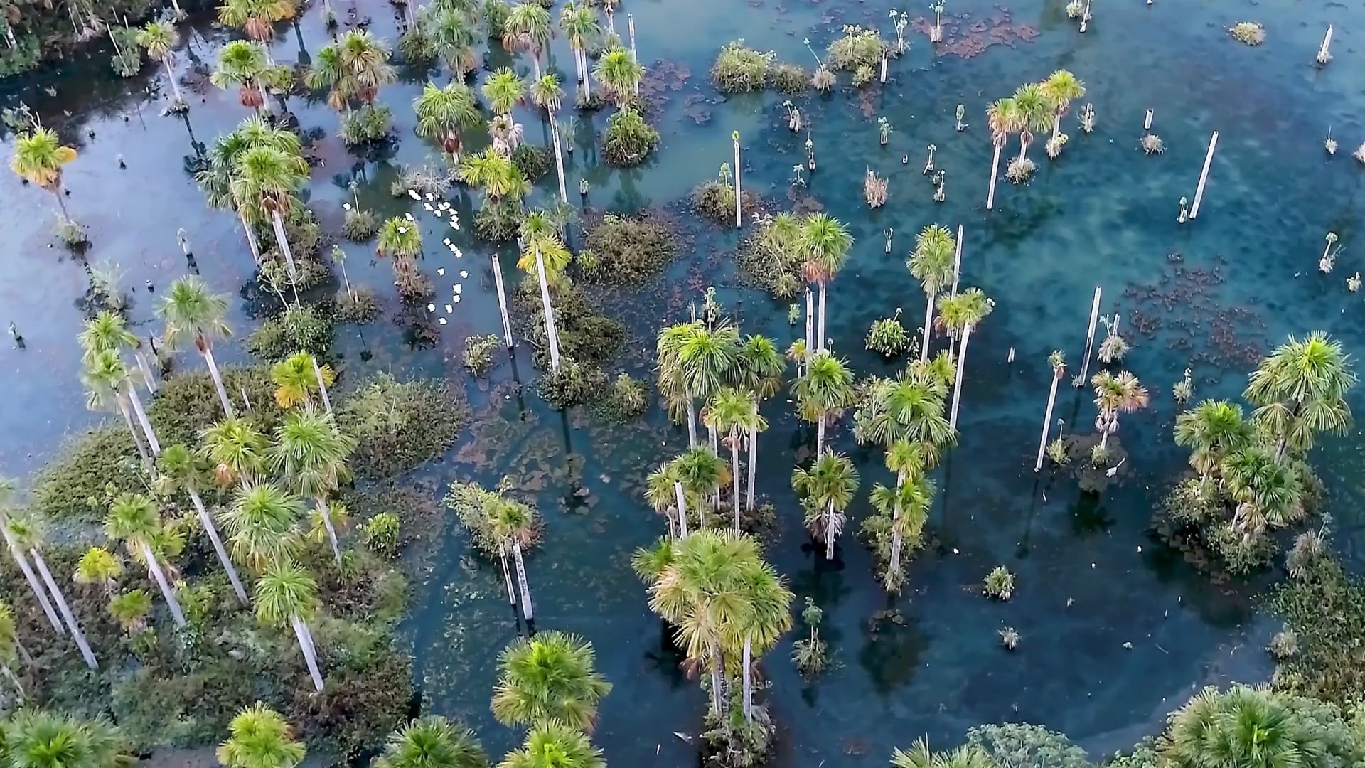 Biodiversiteit en veerkrachtig ecosystemen NOV2026