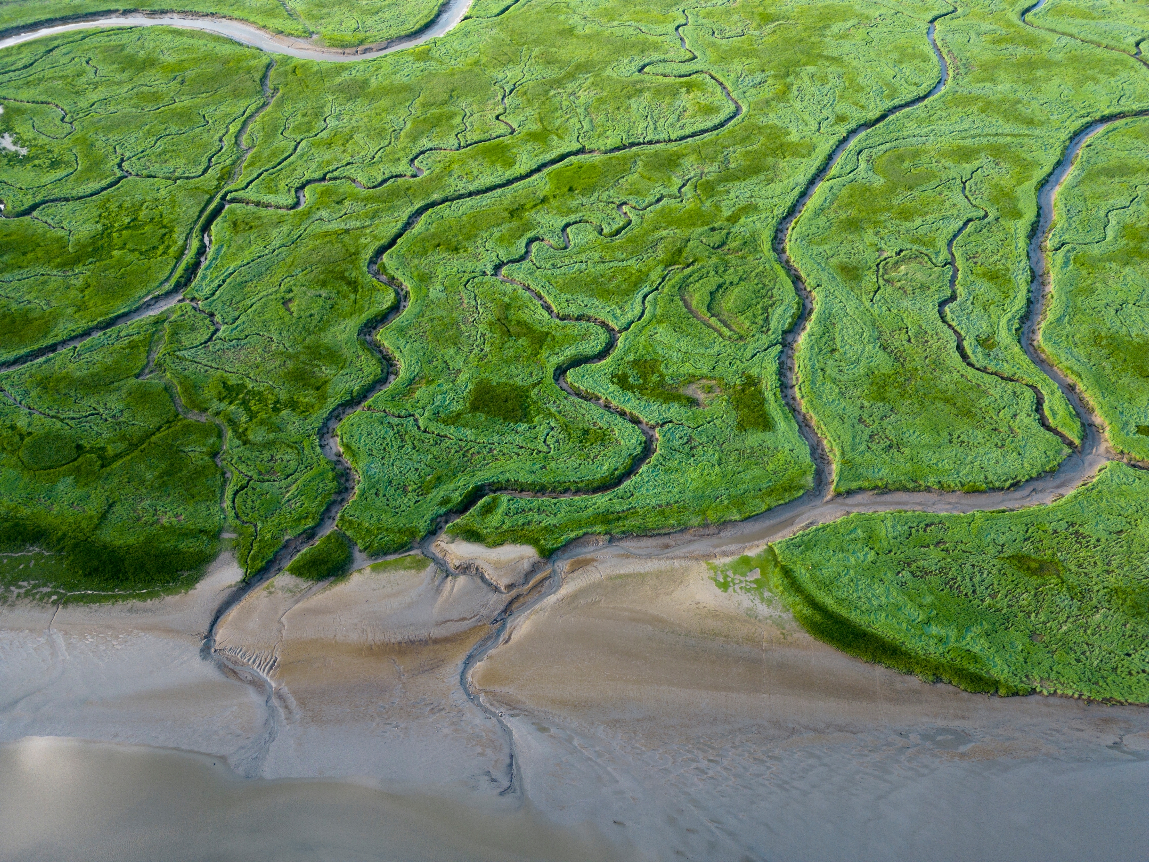 Luchtfoto van getijdenkanalen en geulen, Saeftinge, Nederland
