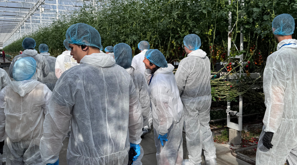 people in white suit inside greenhouse