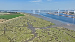 DOMEIN_environmental