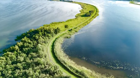 Dam polder