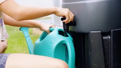 Biobased plastics