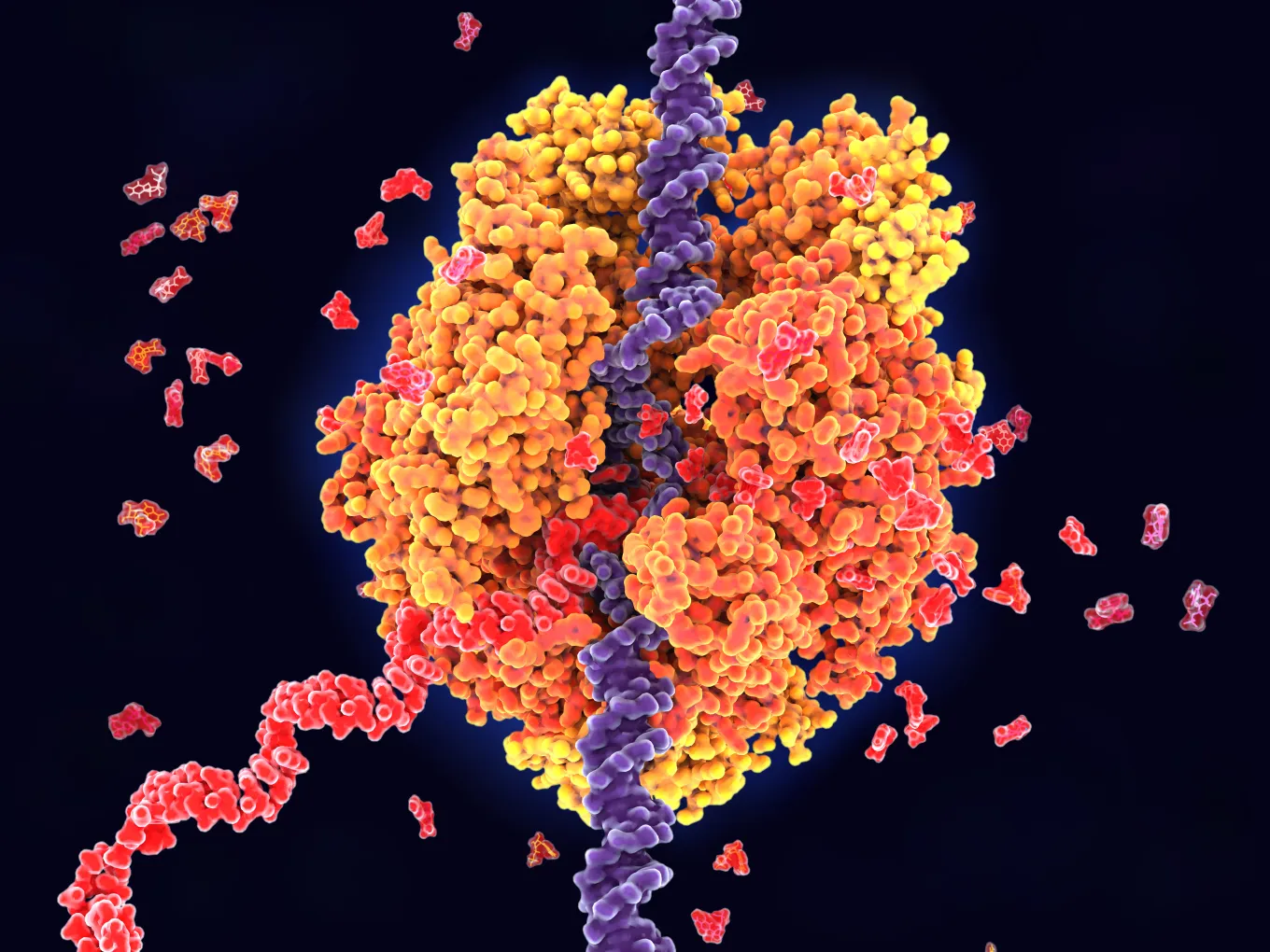 Laboratory of Genetics | WUR