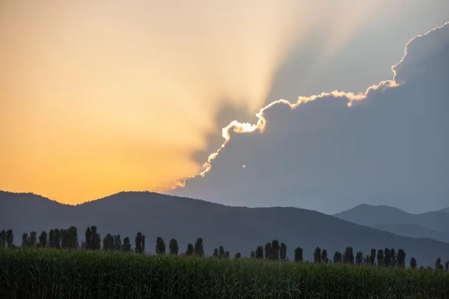 The importance of realistic surface radiation in cloud-resolving models