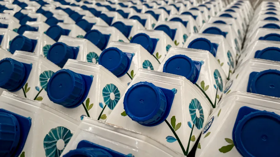 Close up shot of dozens of industrial plastic milk bottles in an organized line