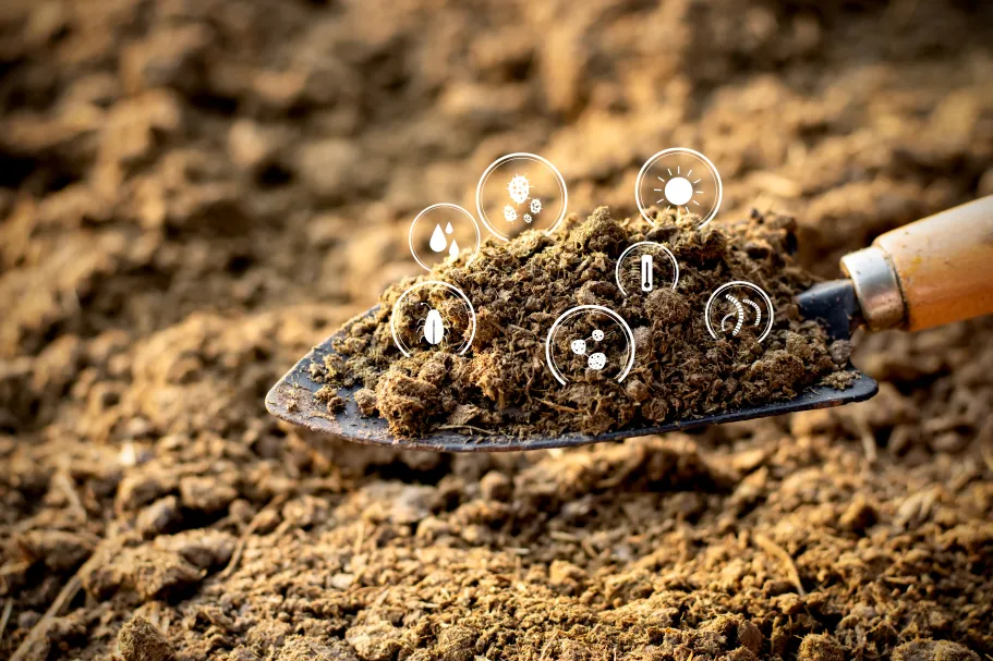 From Space to Soil: modelling and mapping soil organic carbon dynamics using machine learning and earth observation   