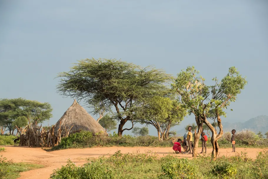 Van diverse landbouwsystemen naar diverse voedingspatronen: een manier om de voeding van kinderen op het platteland van Ethiopië te verbeteren  