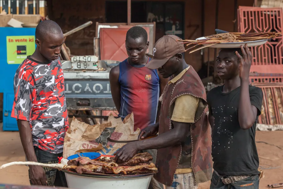 Bushmeat in de stad, gezondheidsrisico's en implicaties