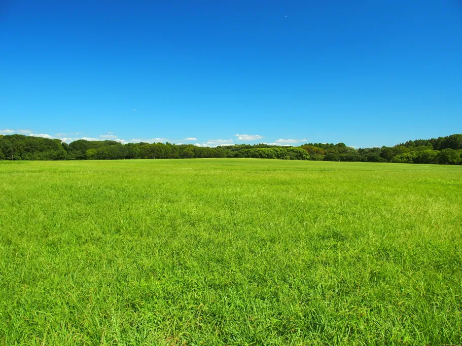 Multispecies swards and multiple soil functions: evidence from agricultural grasslands