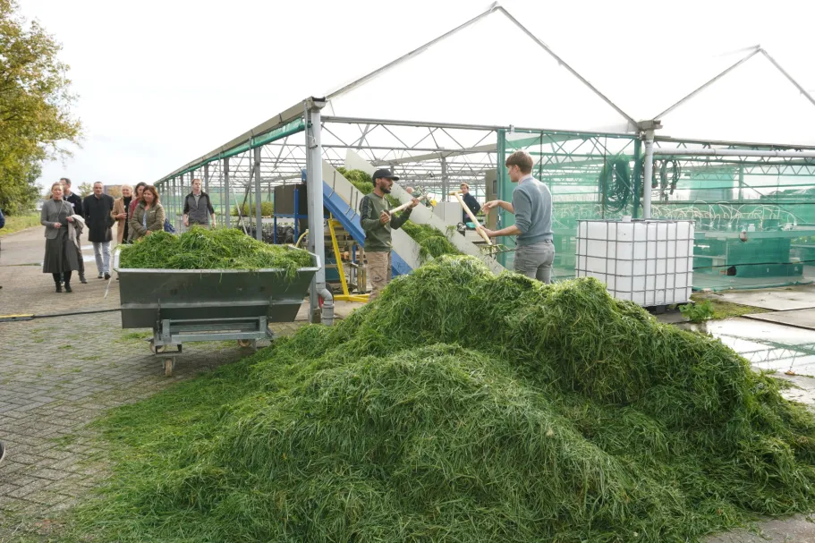 Grassa produces protein from grass