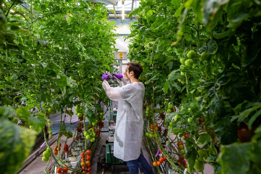 Student in greenhouse