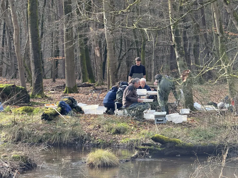 Vangen en selecteren van waterinsecten