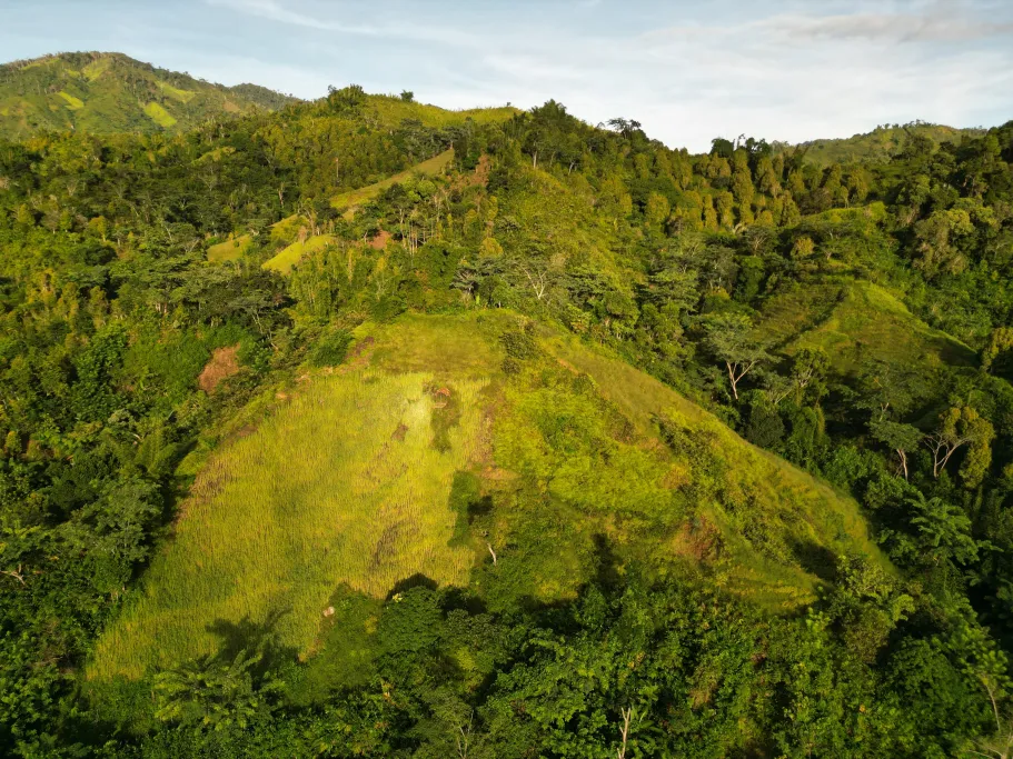Dronebeelden van het landschap met verschuivende landbouw aan de bosrand in het noordoosten van Madagaskar