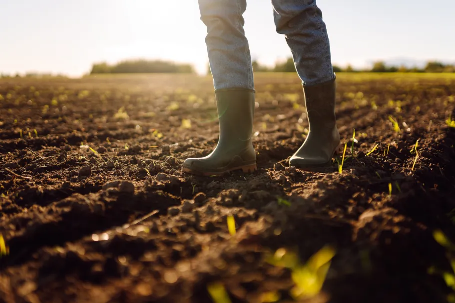 De oplossing van het methaanmitigatie-mysterie? Effect van composttoediening op de opname van atmosferisch methaan door landbouwbodems