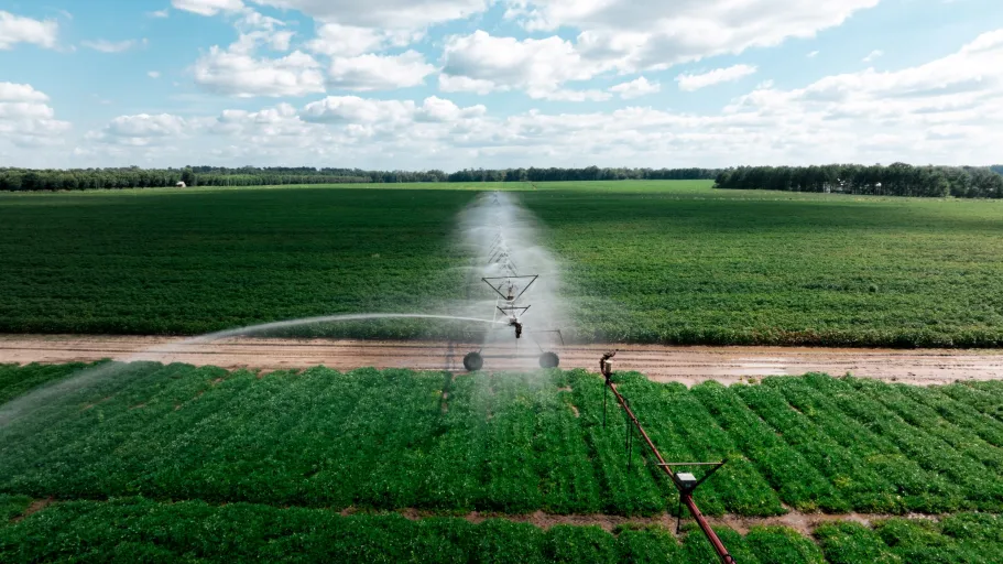 Beheer van te veel en te weinig water in de landbouw: regelbare drainage- en irrigatiesystemen