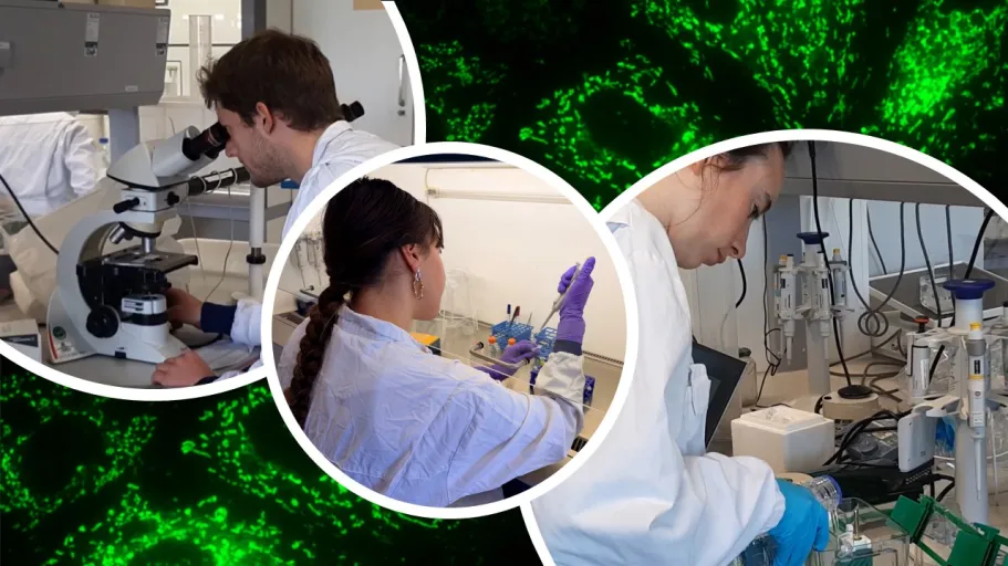 HAP lab work education