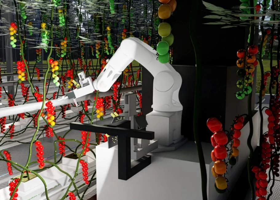 Virtual environment of a greenhouse with tomato plants