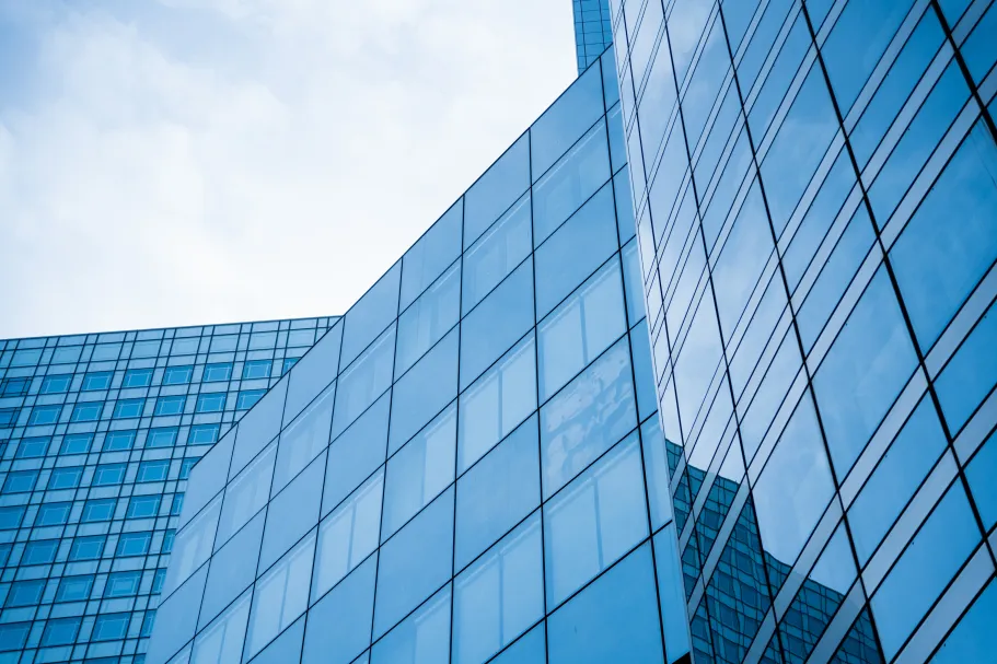 Financial Performance Outcomes of Downsizing