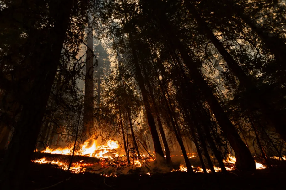 Multilateralism for Whom? The Politics of Transparency in the Global Climate Regime