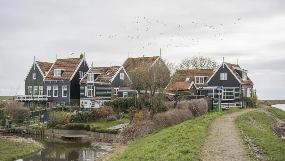 village mound Rozewerf on Marken