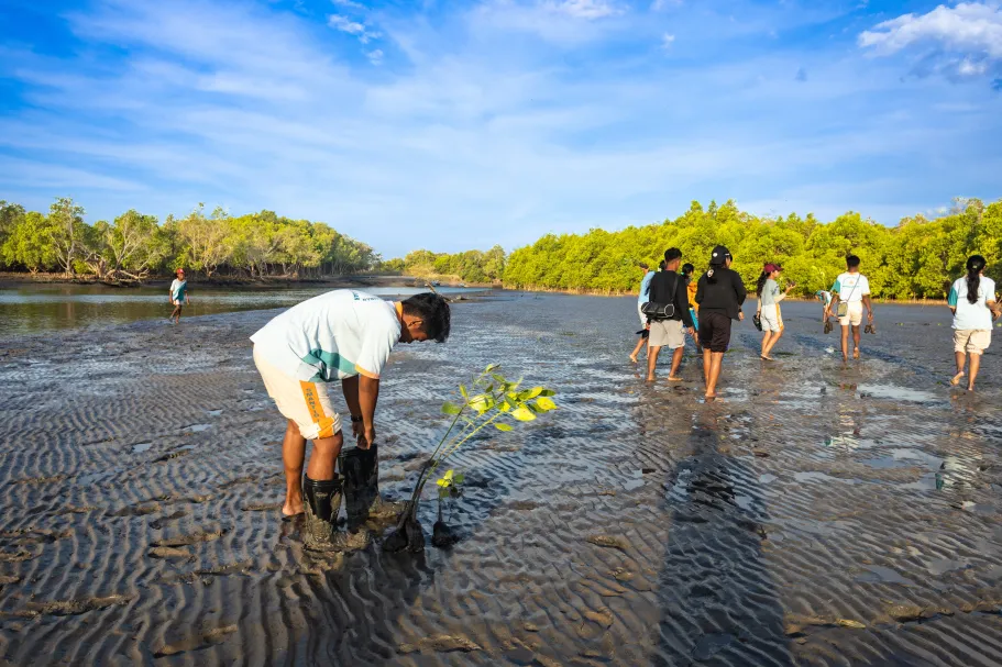 Between Boundaries and Bridges: Friction, Translation, and Mutual Learning in Mangrove Swamp Rice Farming in Guinea-Bissau