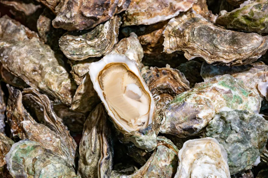 Prying Genomes: Providing a molecular foundation for oyster restoration