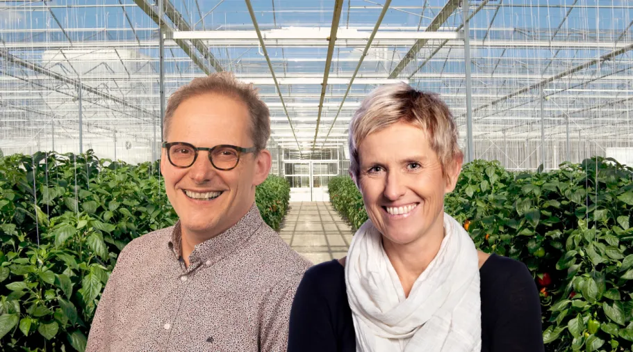 summer school greenhouse horticulture leo marcelis & silke hemming